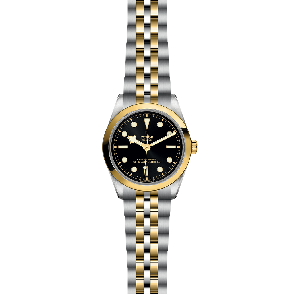 TUDOR Black Bay 36 S&G