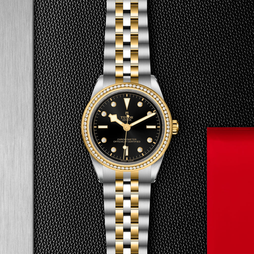 TUDOR Black Bay 39 S&G