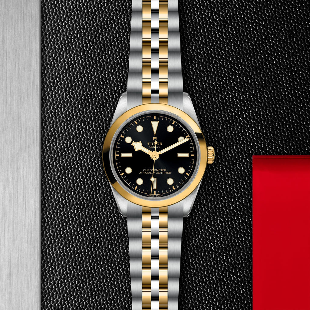 TUDOR Black Bay 36 S&G