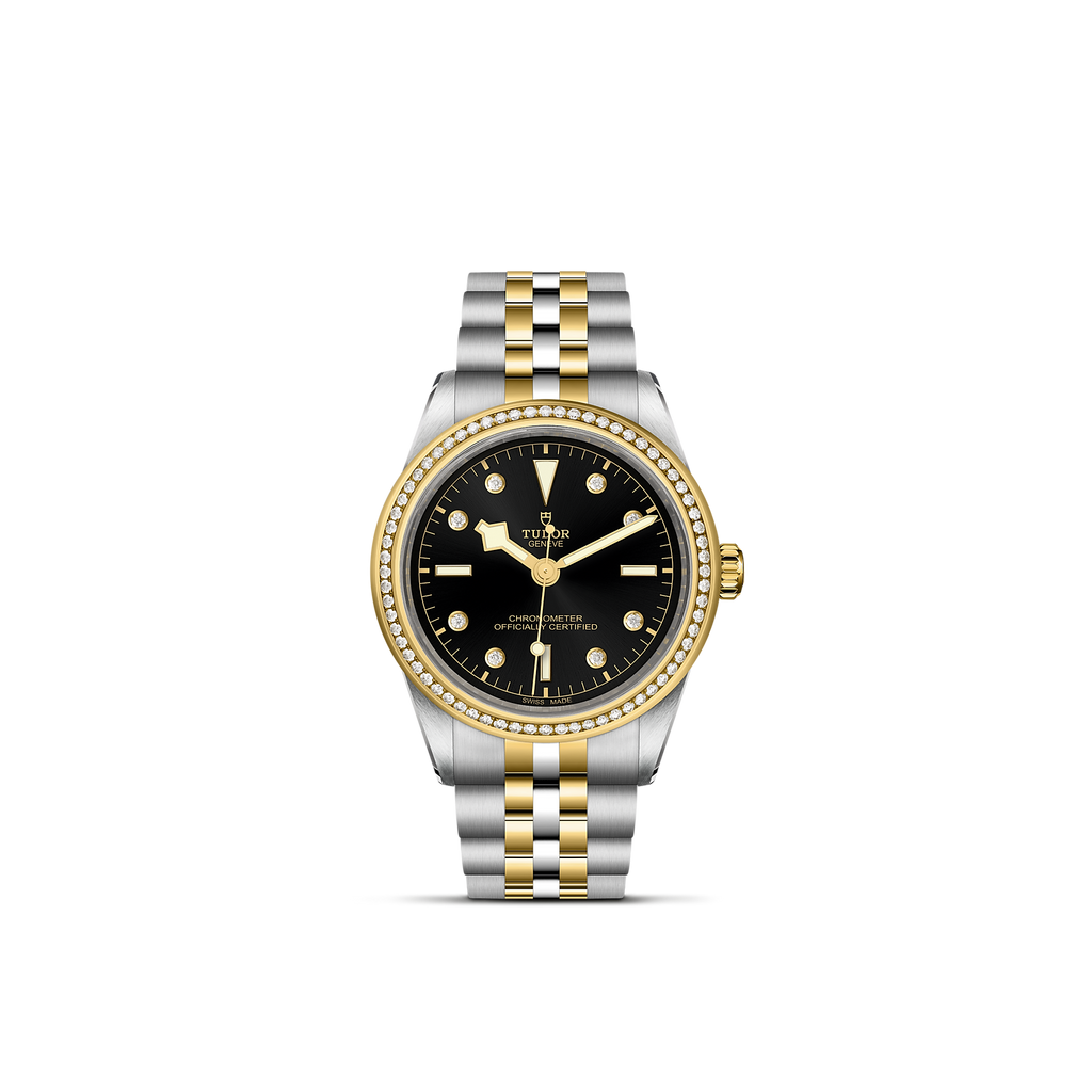 TUDOR Black Bay 39 S&G